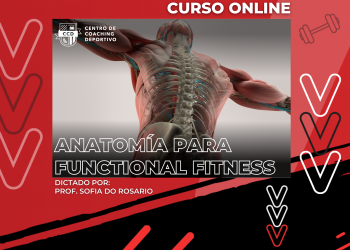 Anatomía para Functional Fitness