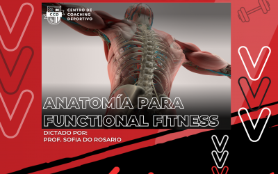 Anatomía para Functional Fitness