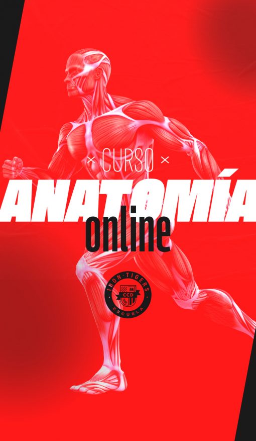 Anatomía para Functional Fitness