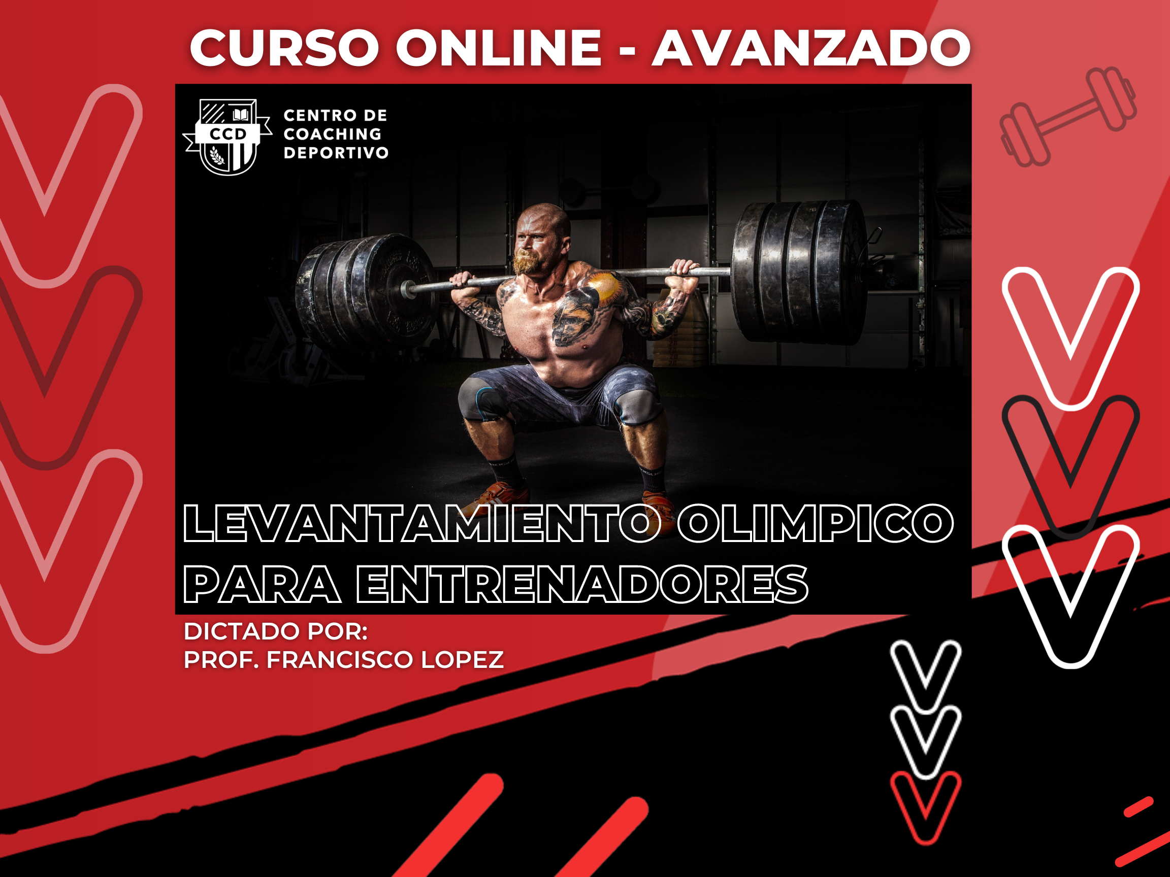 Curso Intensivo de Levantamiento Olimpico