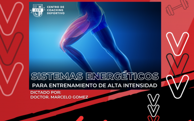 Workshop! Introducción a los Sistemas Energéticos Aplicado a Sistemas Biológicos