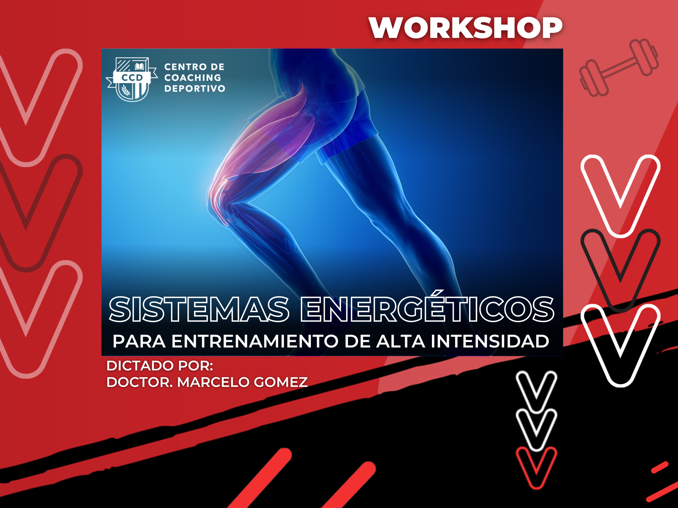 Workshop! Introducción a los Sistemas Energéticos Aplicado a Sistemas Biológicos